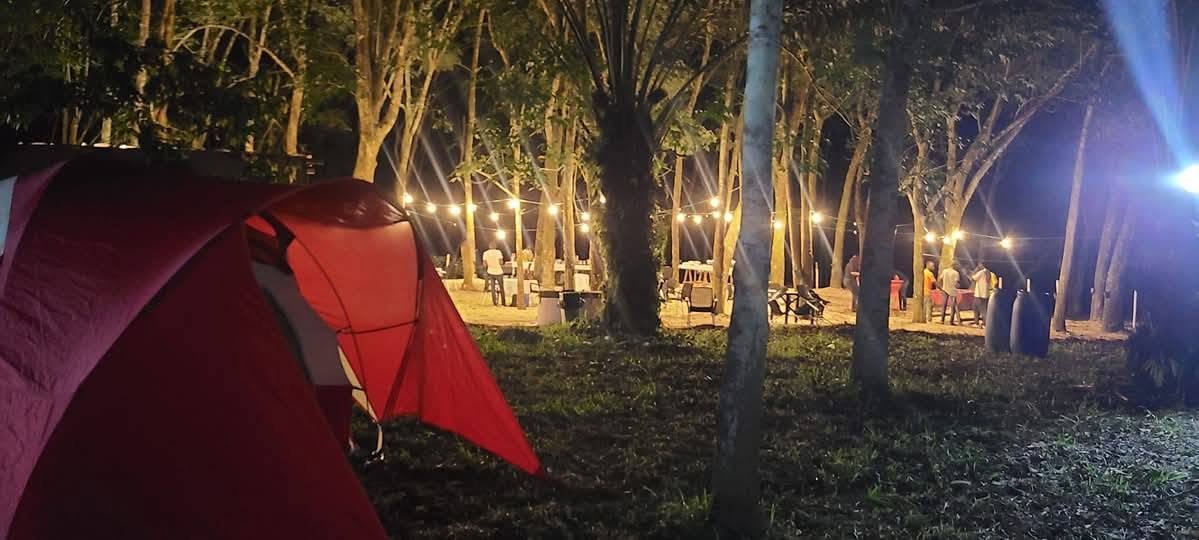 Domaine Paintball 225